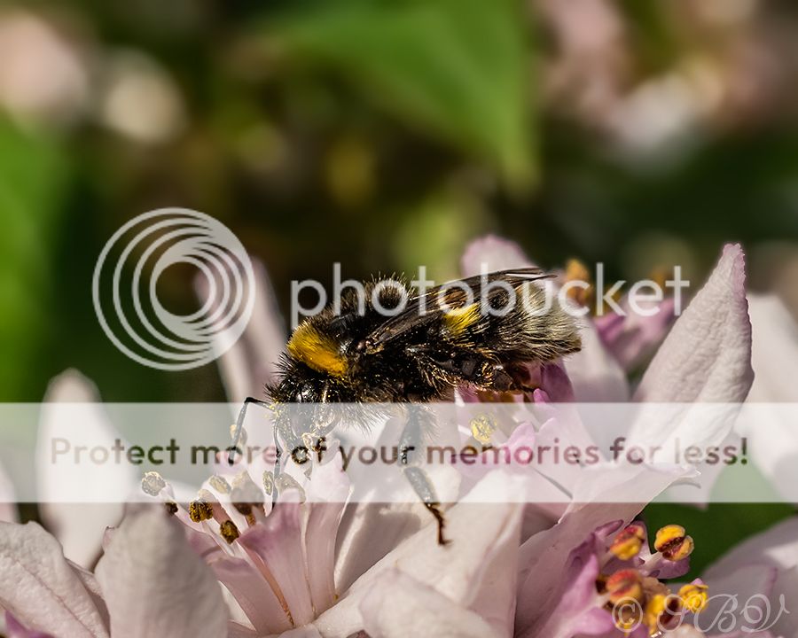 Fotografie