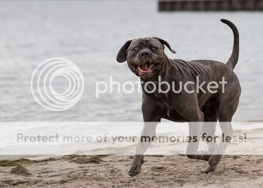 Fotografie