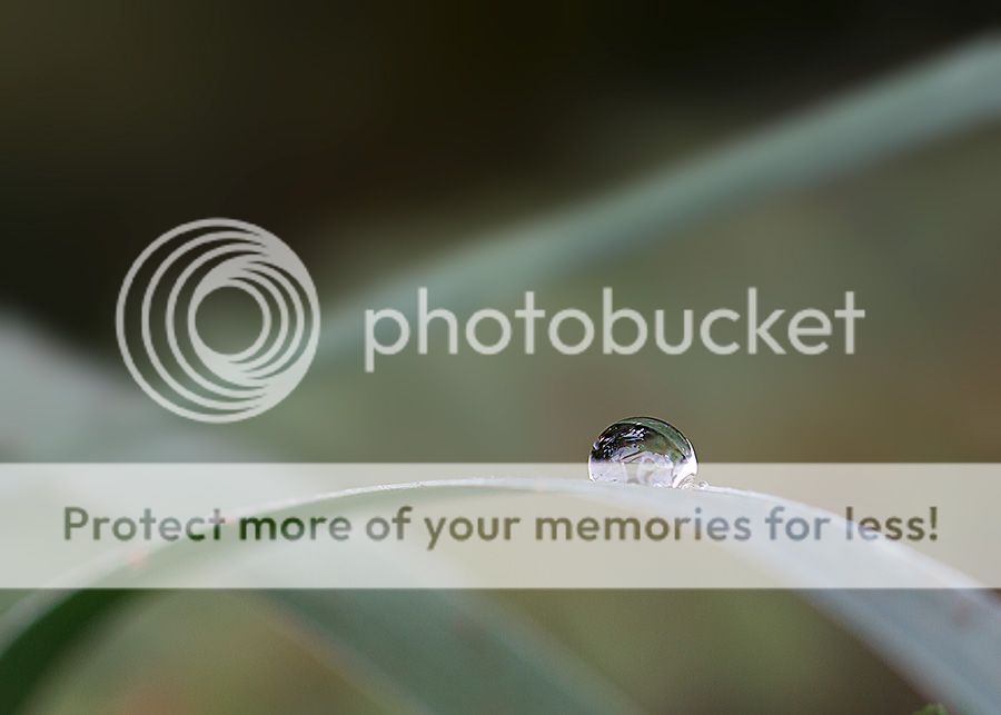 Fotografie