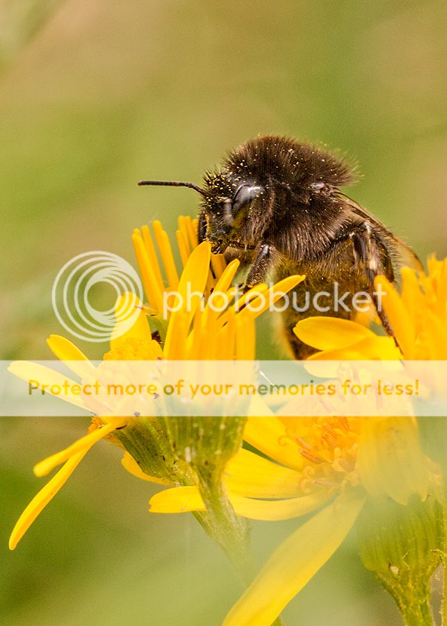 Fotografie