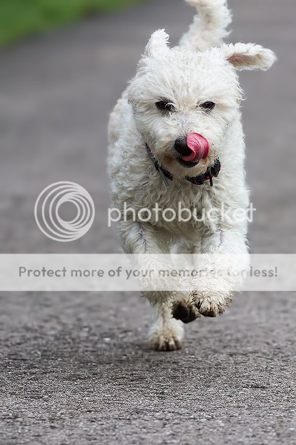 Fotografie