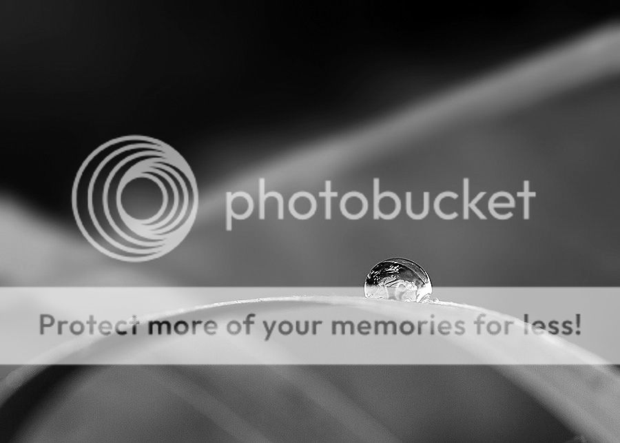 Fotografie