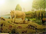 th_eocene_fauna.jpg th_eocene_fauna.jpg