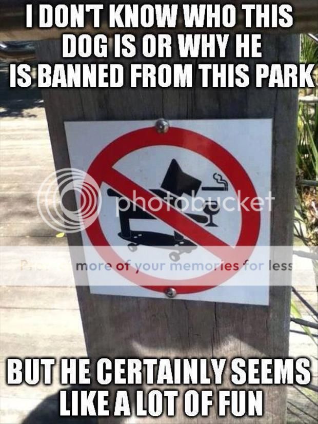 photo funny3.jpg