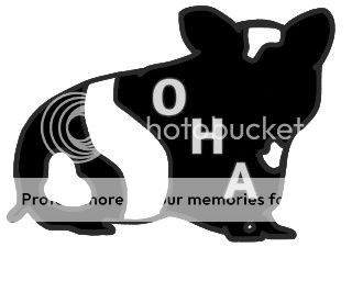 BeFunky_normalohyyyyagffff_zpse887a56a.j