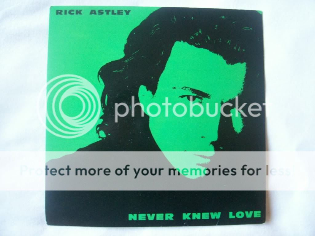 Never Knew Love - Rick Astley