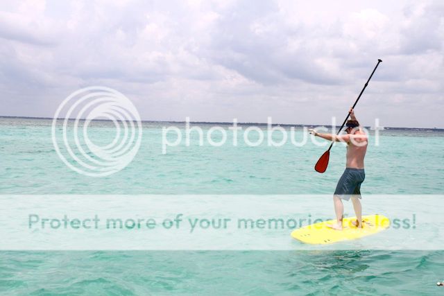 photo IMG_7098_zps8f370aa0.jpg