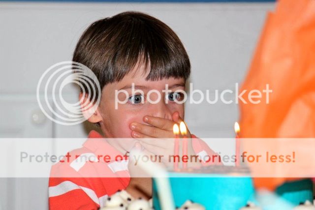 photo 392455_3233483231754_966402263_n_zpsc6f383fd.jpg