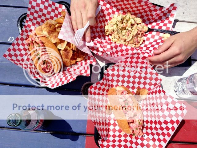 photo lobsta_zps25cf932f.jpg
