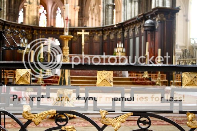 photo IMG_8659_zps435888c9.jpg