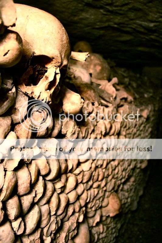 photo IMG_8778_zps91916eeb.jpg