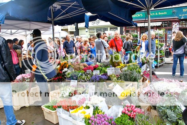 photo IMG_8872_zpsf76804ed.jpg