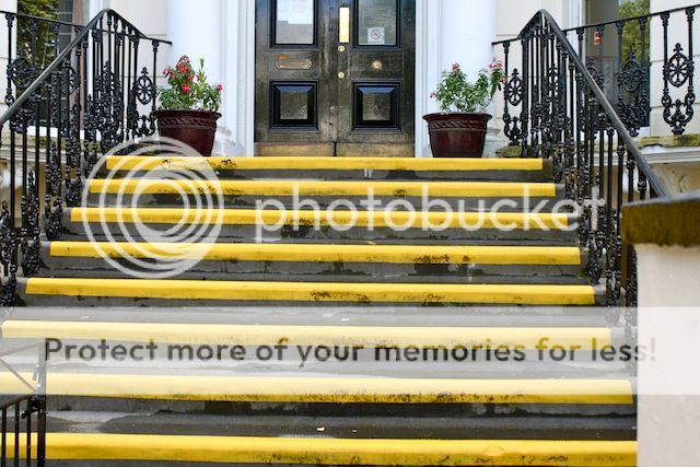 photo IMG_8881_zps0c0e6b63.jpg