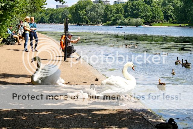 photo IMG_8890_zps8673fe46.jpg