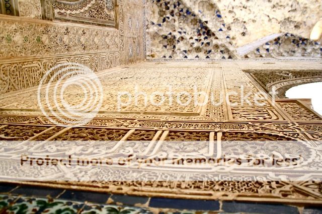 photo IMG_9497_zpsa7bdd0c4.jpg