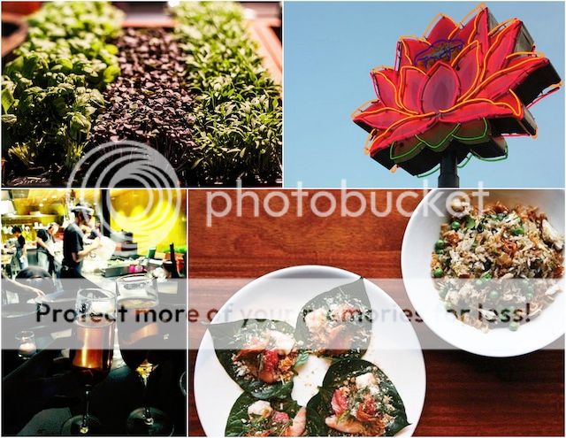 photo StarredPhotos6_zpsc5d7a7b6.jpg