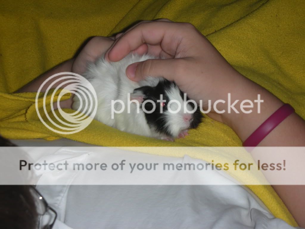 DSCN3281.jpg