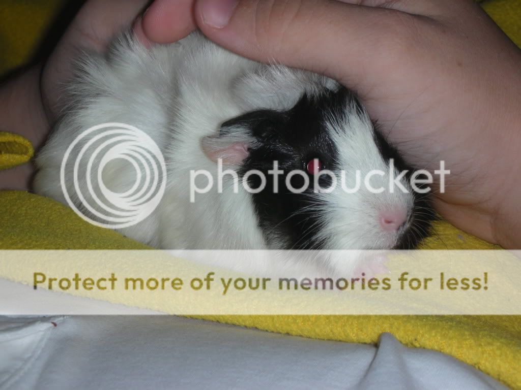 DSCN3282.jpg