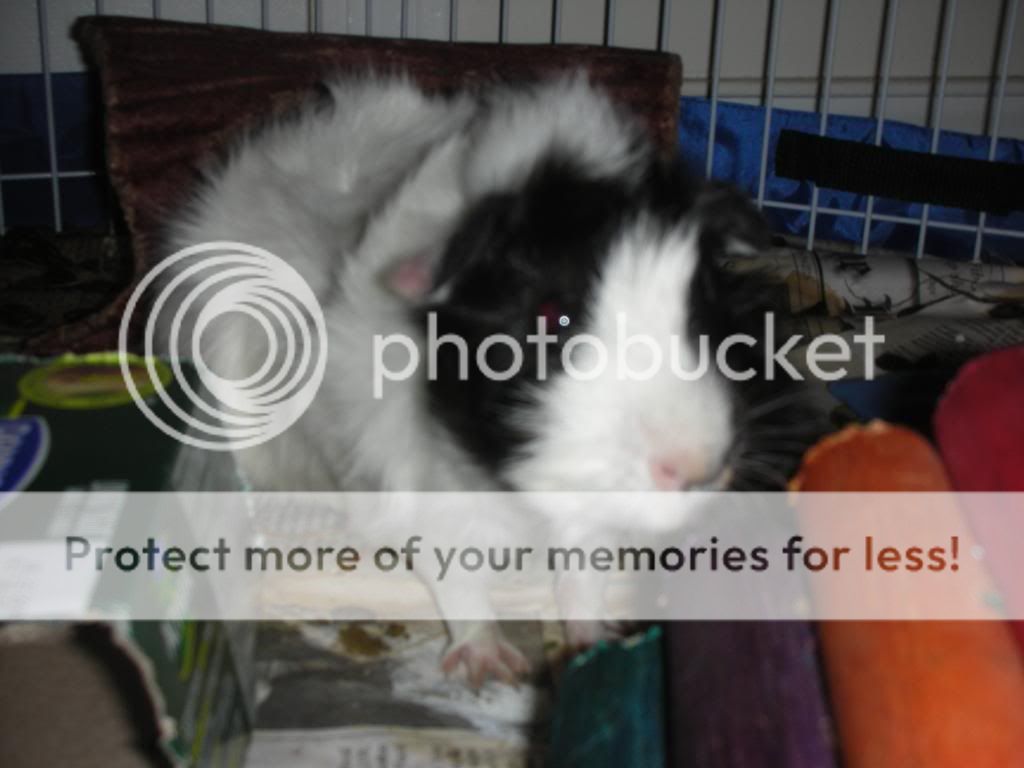 DSCN3719.jpg