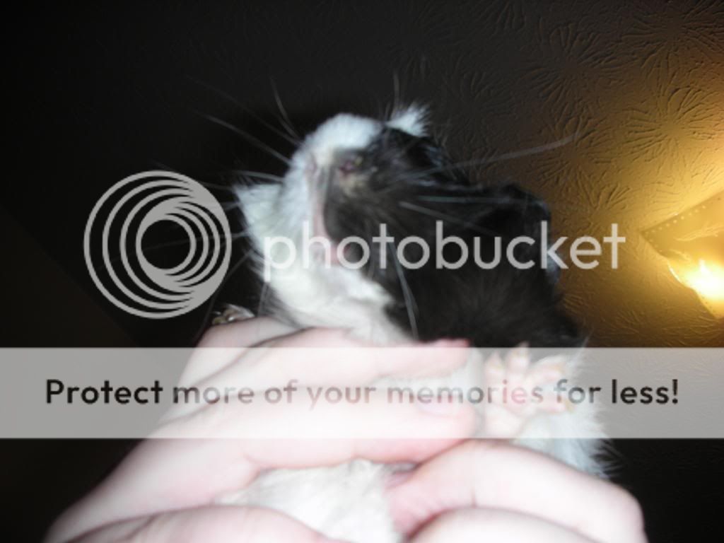 DSCN3728.jpg