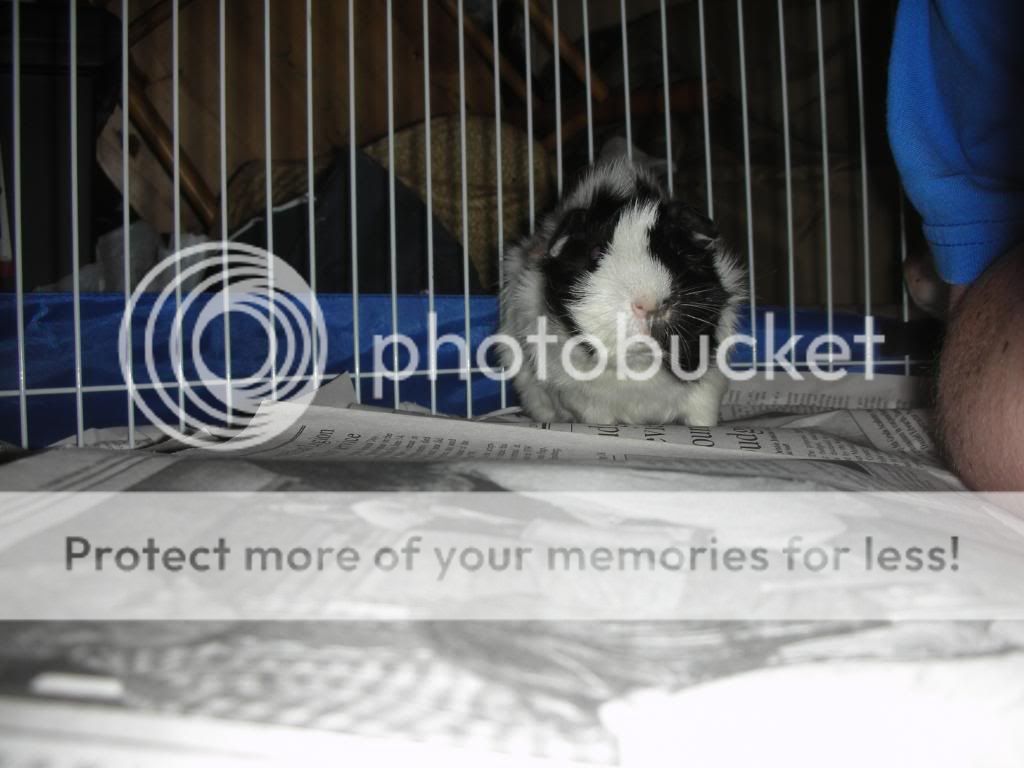 DSCN3738.jpg