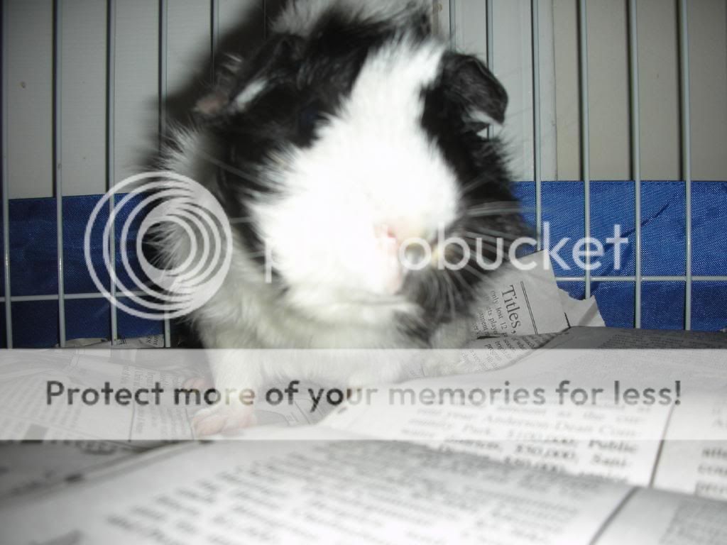 DSCN3740.jpg