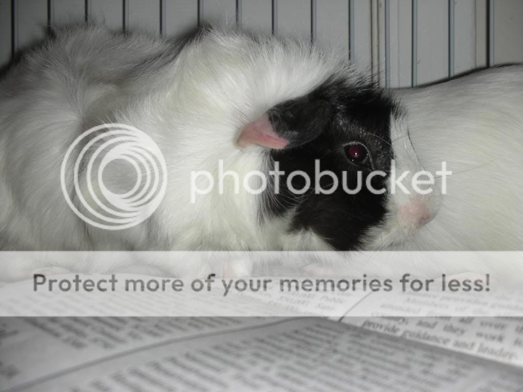 DSCN3749.jpg