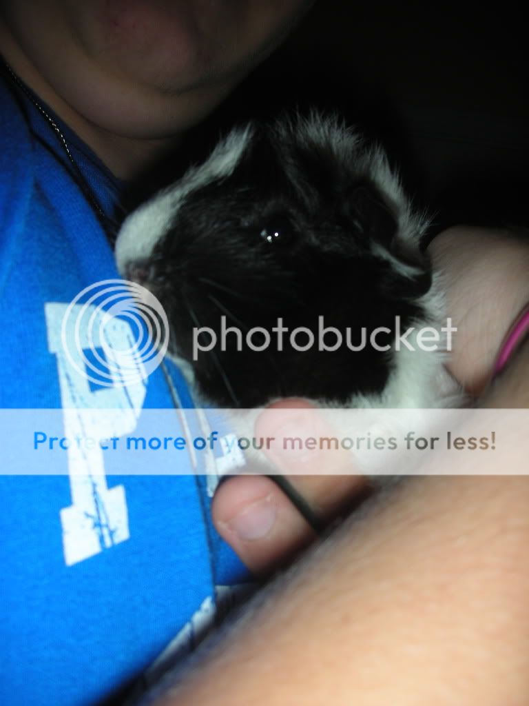 DSCN3815.jpg