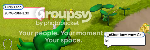 User Image