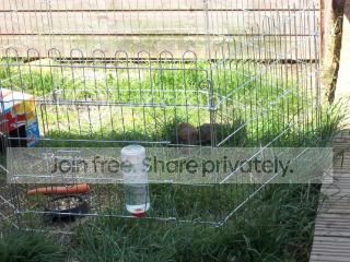100_0368.jpg