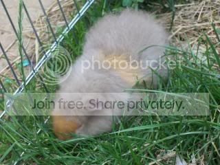 100_0430.jpg