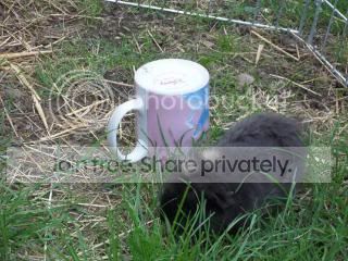 100_0431.jpg