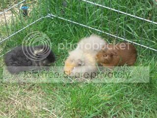 100_0436.jpg