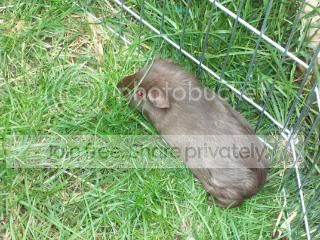 100_0437.jpg